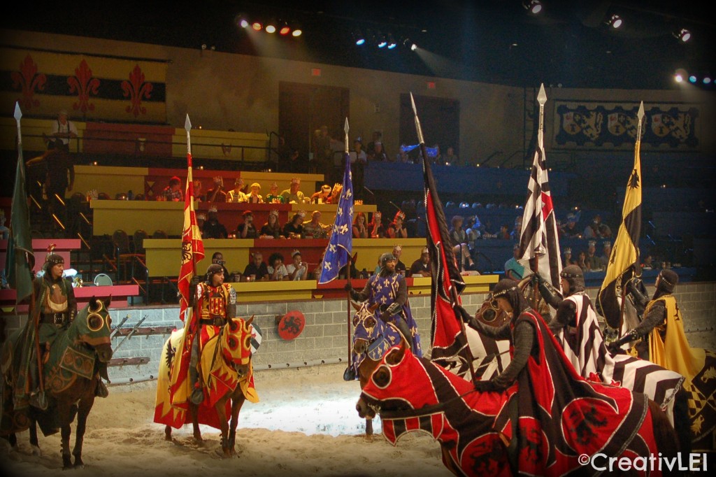 The Knights of Medieval Times