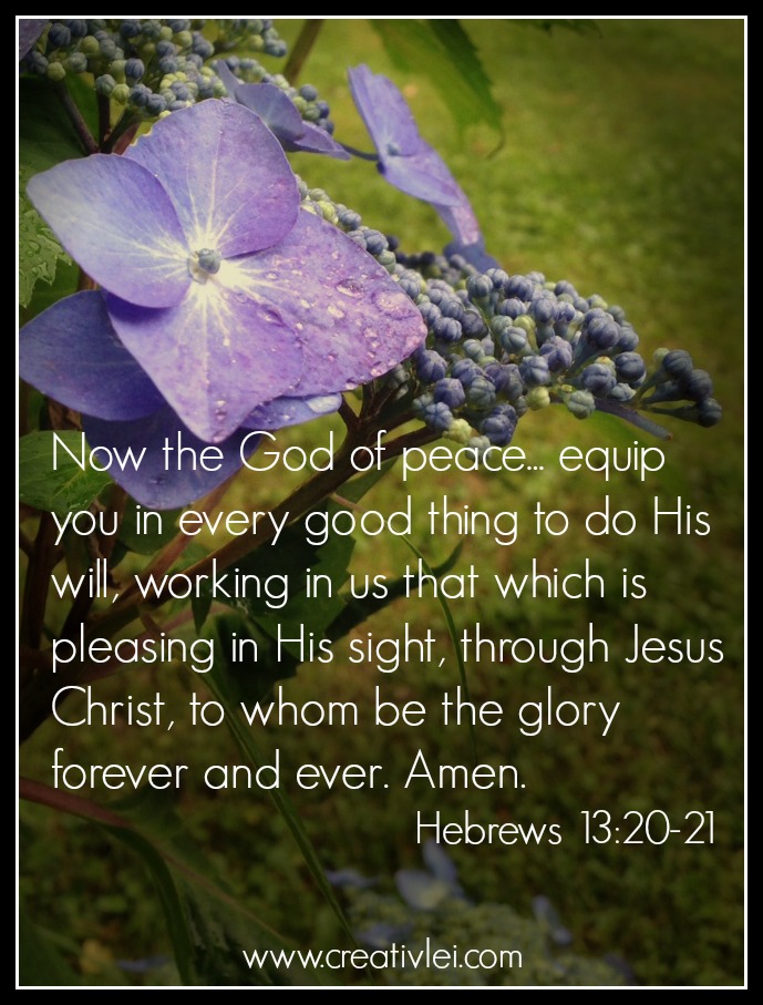 Hebrews_13_21_He_will_equip_you