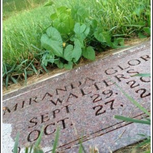 planting memorial plants at the cemetery