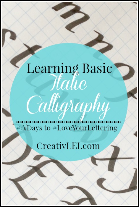 Lisa Font Calligraphy Workbook - Calligraphy Instructions