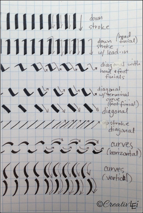 Using a calligraphy marker as a slanted pen, here are the basic strokes to practice. CreativLEI.com