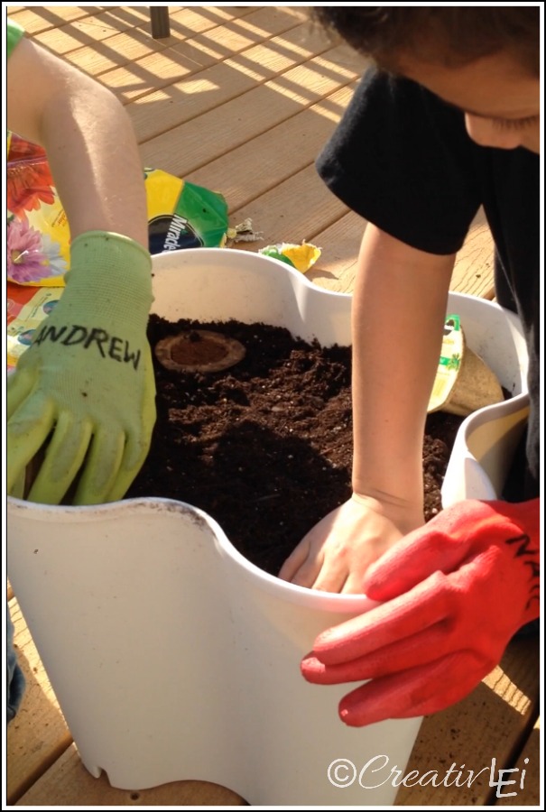 For our #GroablesProject the children were able to do the work themselves, now they wait with excitement to see them grow!